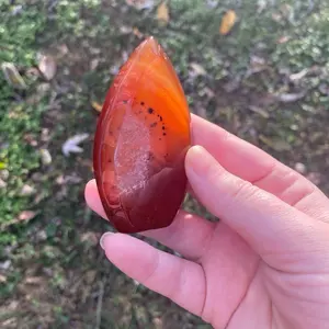 Carnelian Freeform