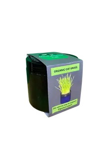 The Jar a pretty way to spoil your cat Natural