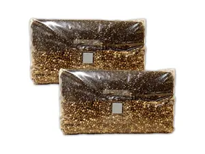 Mushroom Grow Bag - All In One - 2x Mushroom Grow Bag - All In One - 2x