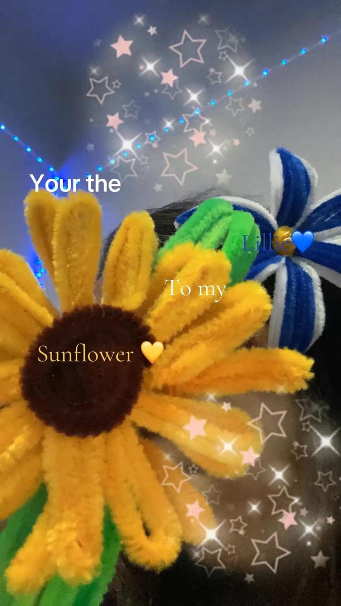 Item: 200pcs 20 Colors