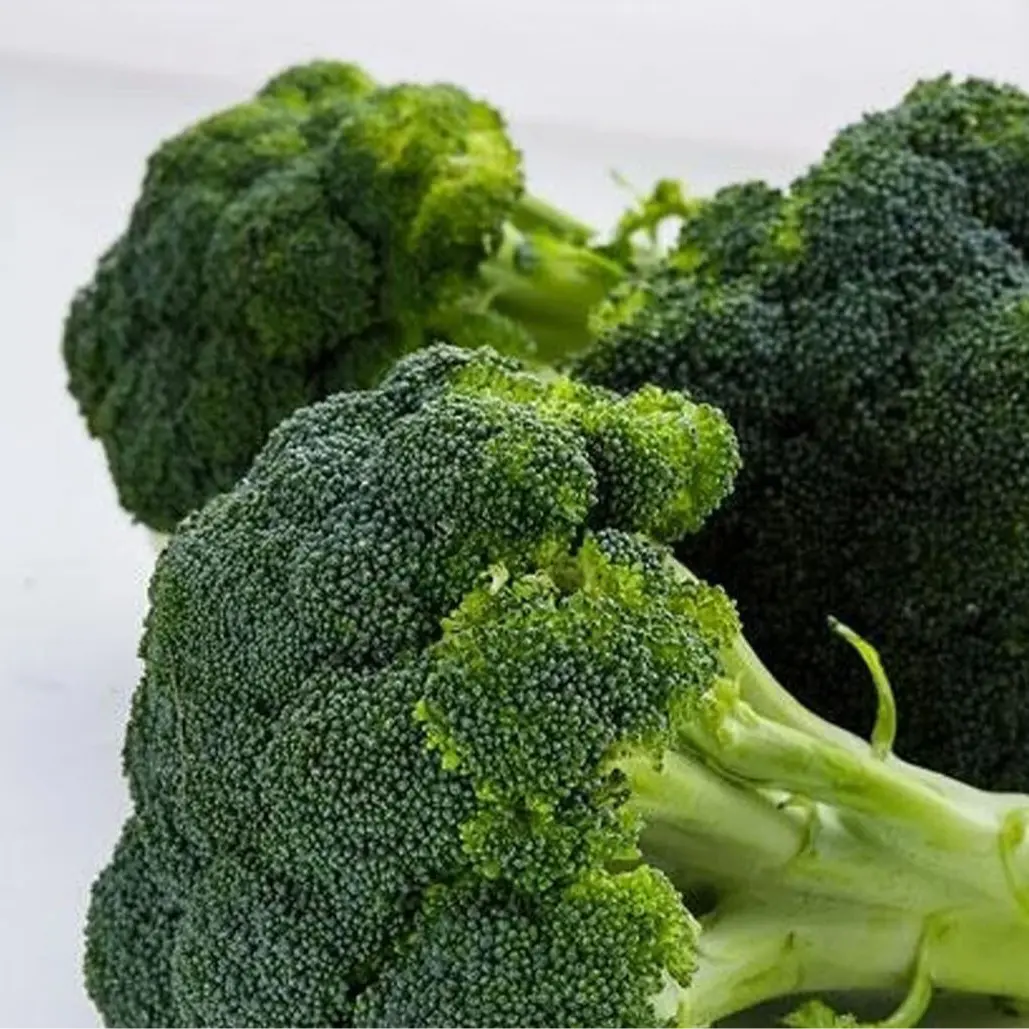 Waltham 29 Organic Broccoli Seeds for Spring Planting - Cool Season, 85-100 Days Harvest, Easy to Grow, Large Tender Heads, Heirloom Variety by Mai's Family