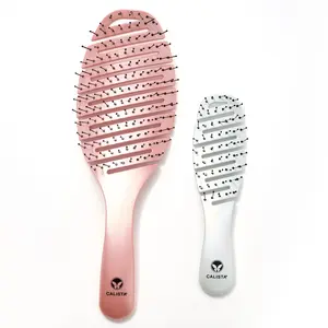 Calista Mini & Large Smoothie Brush Set