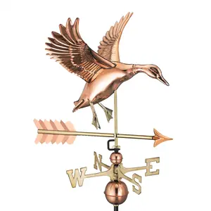 Landing Duck with Arrow Weathervane