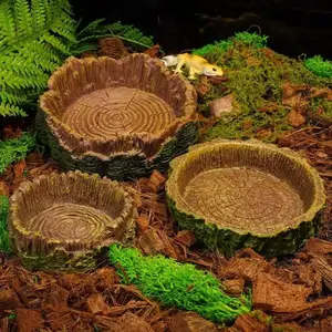 Small Reptile Feeding Bowl, Drinking Dish, Food Bowl for Bearded Dragons, Geckos, Frogs, Snakes, Chameleons, Land Turtles