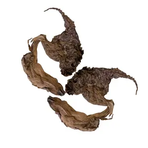 2 DUCK FLOWERS Dried