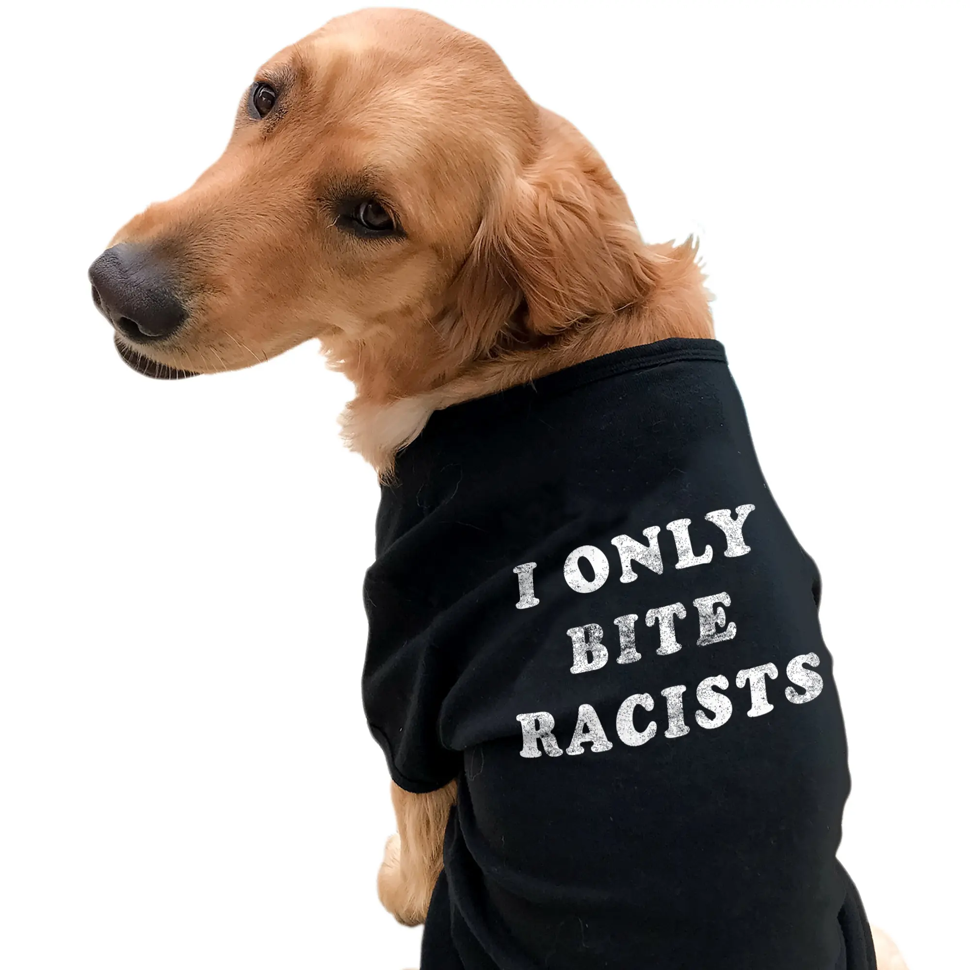 I Only Bite Racists Dog Shirt Funny Black Lives Matter BLM Protest Graphic Novelty Tee Funny Political Puppy TShirt Black I Only Bite Racists Dog Shirt Funny Black Lives Matter BLM Protest Graphic Novelty Tee Funny Political Puppy TShirt Black