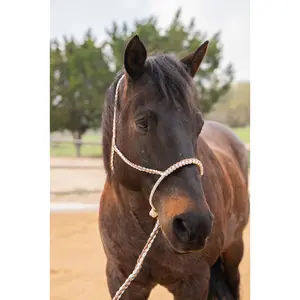Brown and White Lariat Noseband Mule Tape Halter