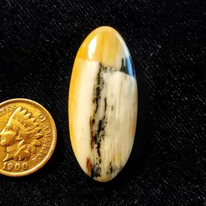 Polished Handcrafted 38x17mm Oval Central Oregon Petrified Wood Cabochon