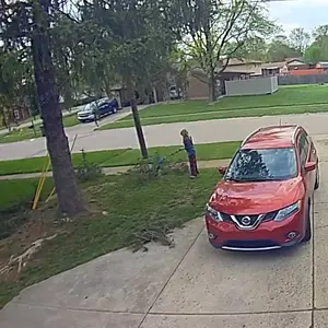 SeeSii 2 in 1 Cordless Pole Saw & Mini Chainsaw with 2 Batteries, Power Electric Polesaw for Tree Trimming, Chain Saw with Extension Pole, 16ft Reach, Limb Branch Cutter Pruner P8 Ace/P6 Ace CH800   #NewArrival