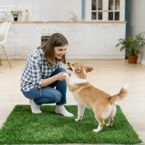 1/2 Pack - Indoor Dog Artificial Grass Mat, Pet-Specific Fake Turf, Replacement Grass Pad for Dog Urine Pads, Replacement Mat for Professional Dog Potty Trainers, Indoor & Outdoor Dog Grass Mat, Can Be Cut to Size