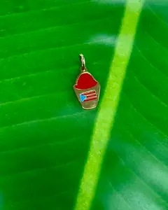 Piragua Stainless Steel Charm