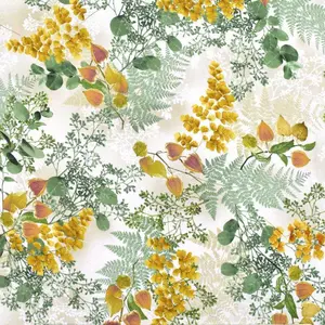 Magnolia | Layered Ferns | Cream