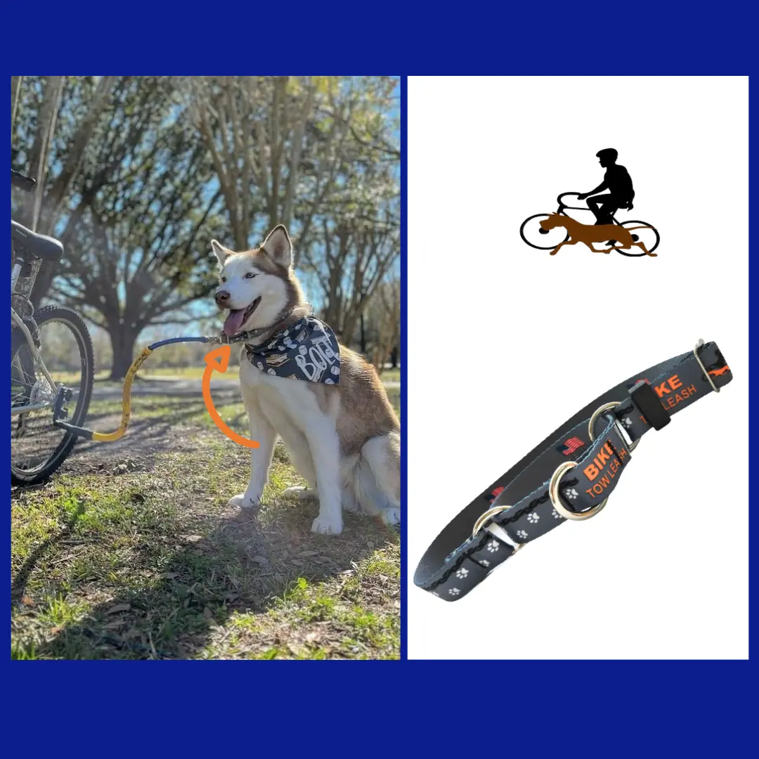 Dog Biking and Walking Collar by Bike Tow Leash