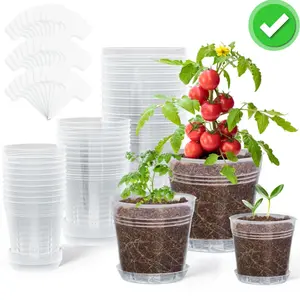Set of 30 transparent seedling pots with drainage holes and drip trays included.