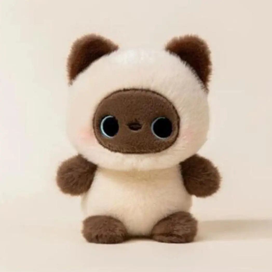 Little Siamese Cat