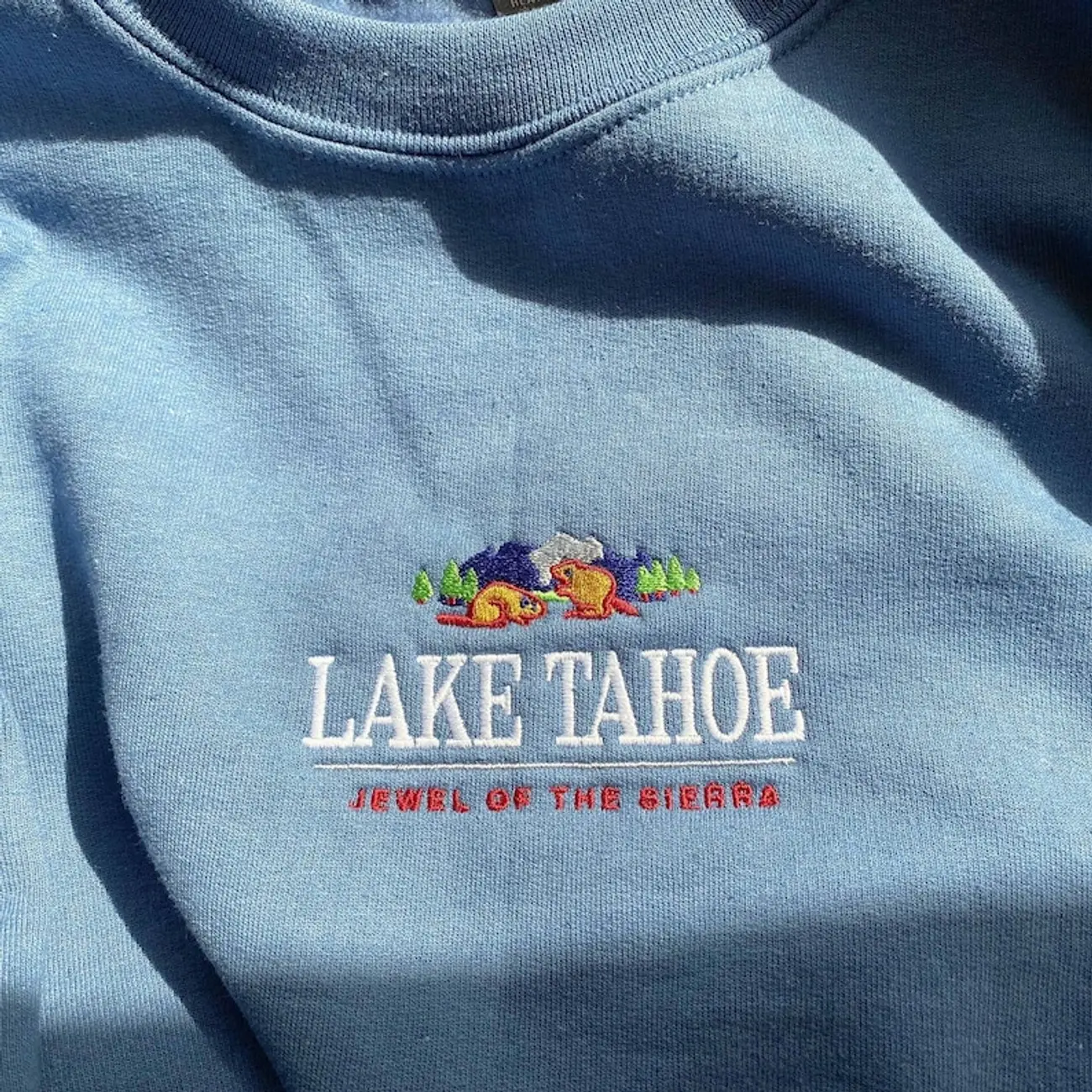 Custom embroidered sweatshirt crewneck, Personalized TShirt, customized logo 6