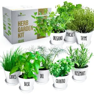 ZESTIGREENS Deluxe Herb Garden Kit - 8 of the most popular Herbs for Indoor & Outdoor, Includes Pots, Potting Soil, Seeds and Instructions