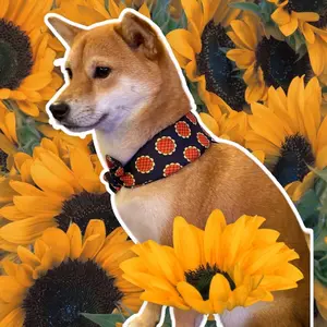 Nindogu Sunflower Lucy Anime Dog Scarf - Graphic Design for Medium to Large Dogs - Perfect for Fans of Luffy's Undercover Look - Secure Clip-on Collar System - Handmade Lightweight Scarf with Floral Print