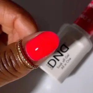 DND 817 CIRCUS CHIC Gel and Lacquer Duo nail care nail art color