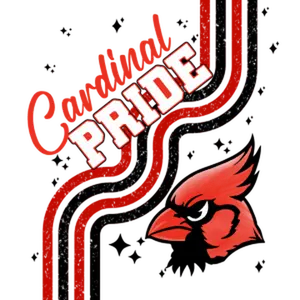 SP48 - Squiggle Cardinal DTF Transfer