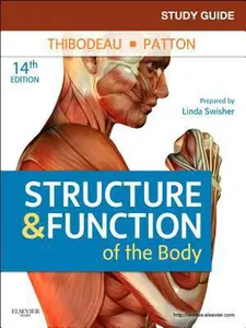 USED-Study Guide for Structure & Function of the Body by Kevin T. Patton PhD (Paperback)