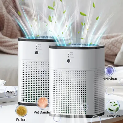 Himox Hepa Air Purifiers for Bedroom Allergies Pets Hair TikTok Shop