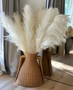 Large 4 FT White/Ivory Fluffy Pampas Grass