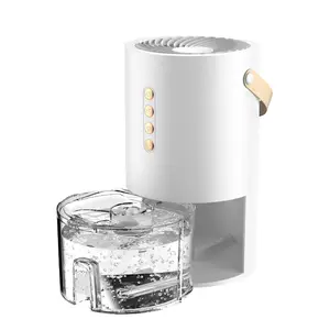 Desktop Small Household Dehumidifier Multifunctional Air Purifier Portable Moisture Remover for Wet Season