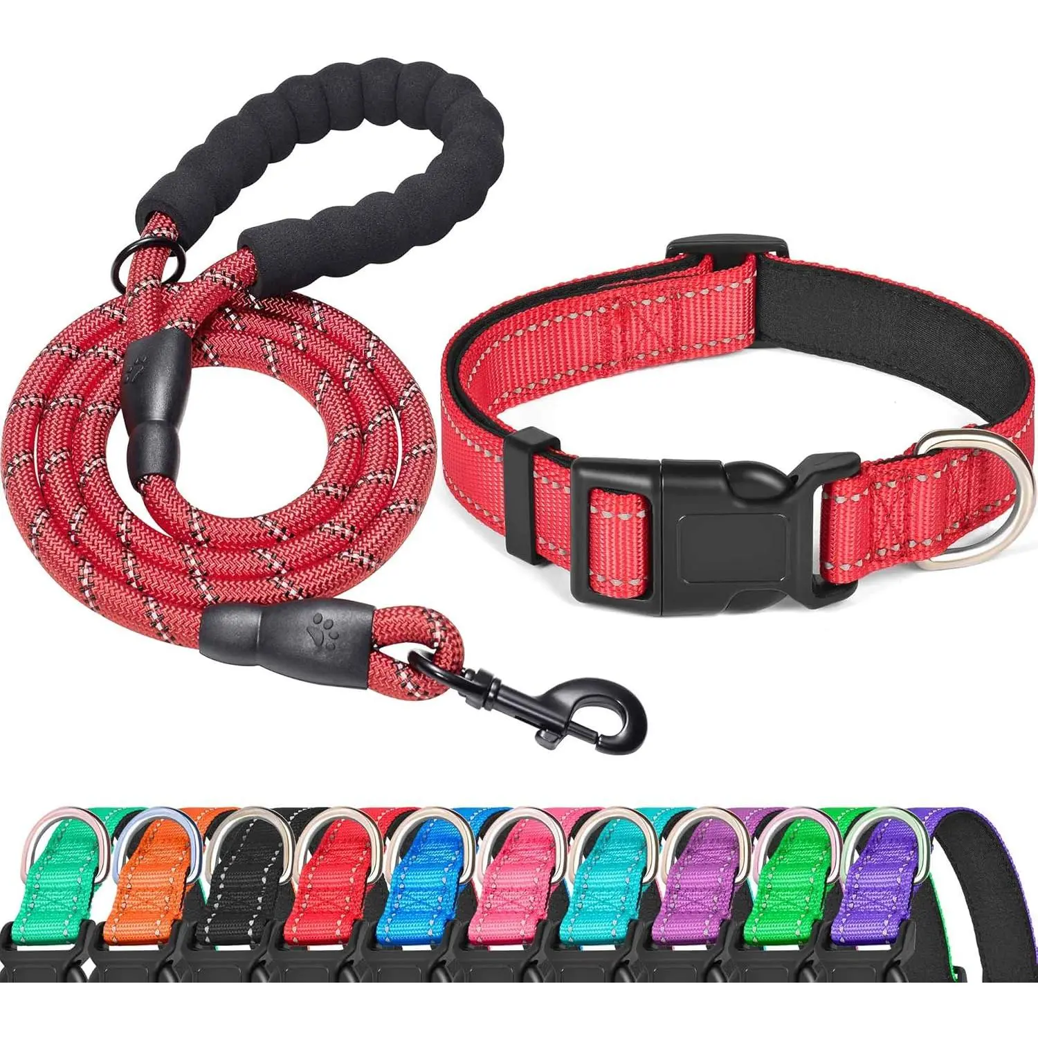 Red Collar+Leash