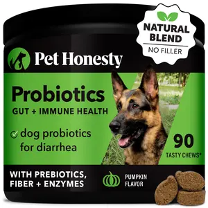 Pet Honesty Probiotics for Dogs, Digestive Relief Enzyme Supplement with Prebiotics & Pumpkin, Promotes Gut and Immune Health for Digestion & Bowel Support Chews