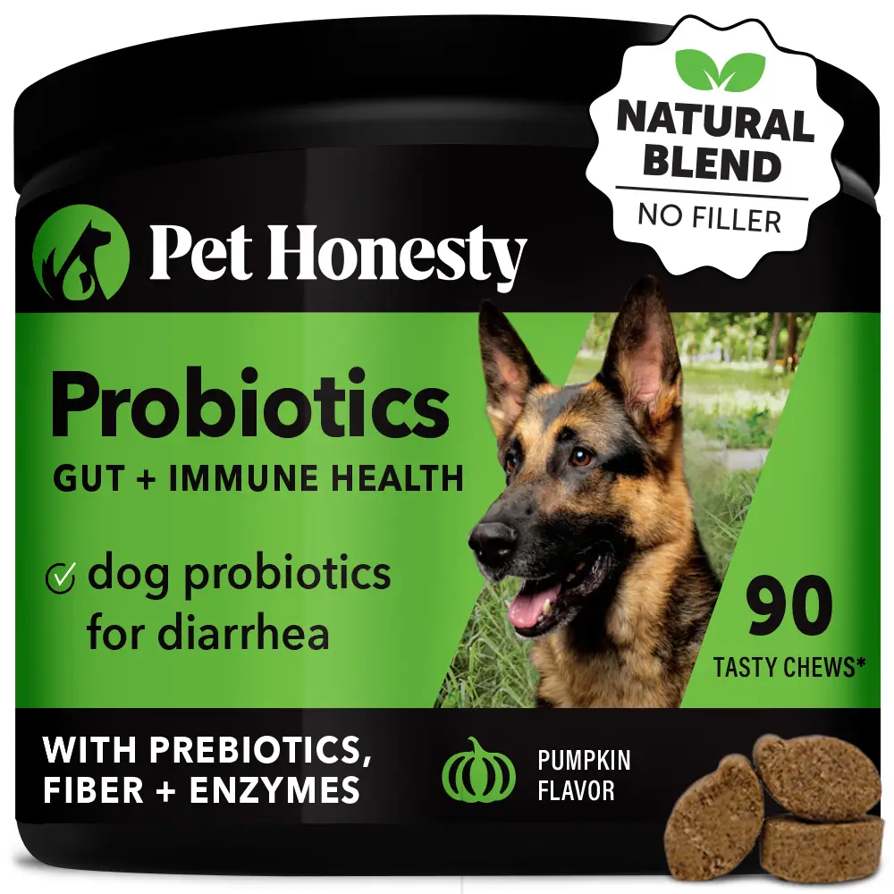 Pet Honesty Probiotics for Dogs, Digestive Relief Enzyme Supplement with Prebiotics, Promotes Gut and Immune Health for Diarrhea & Bowel Support Chews