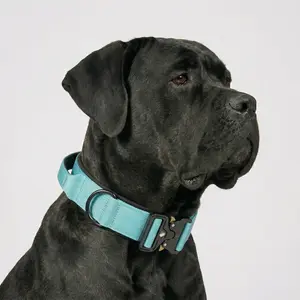 Vibrant Blue Heavy Duty Dog Collar with Quick Release Metal Buckle, Thick Padded Adjustable Pet Collar with Comfort Control Handle for Cane Corso, Mastiff, Rottweiler and Giant Breeds Daily Outdoor Walking