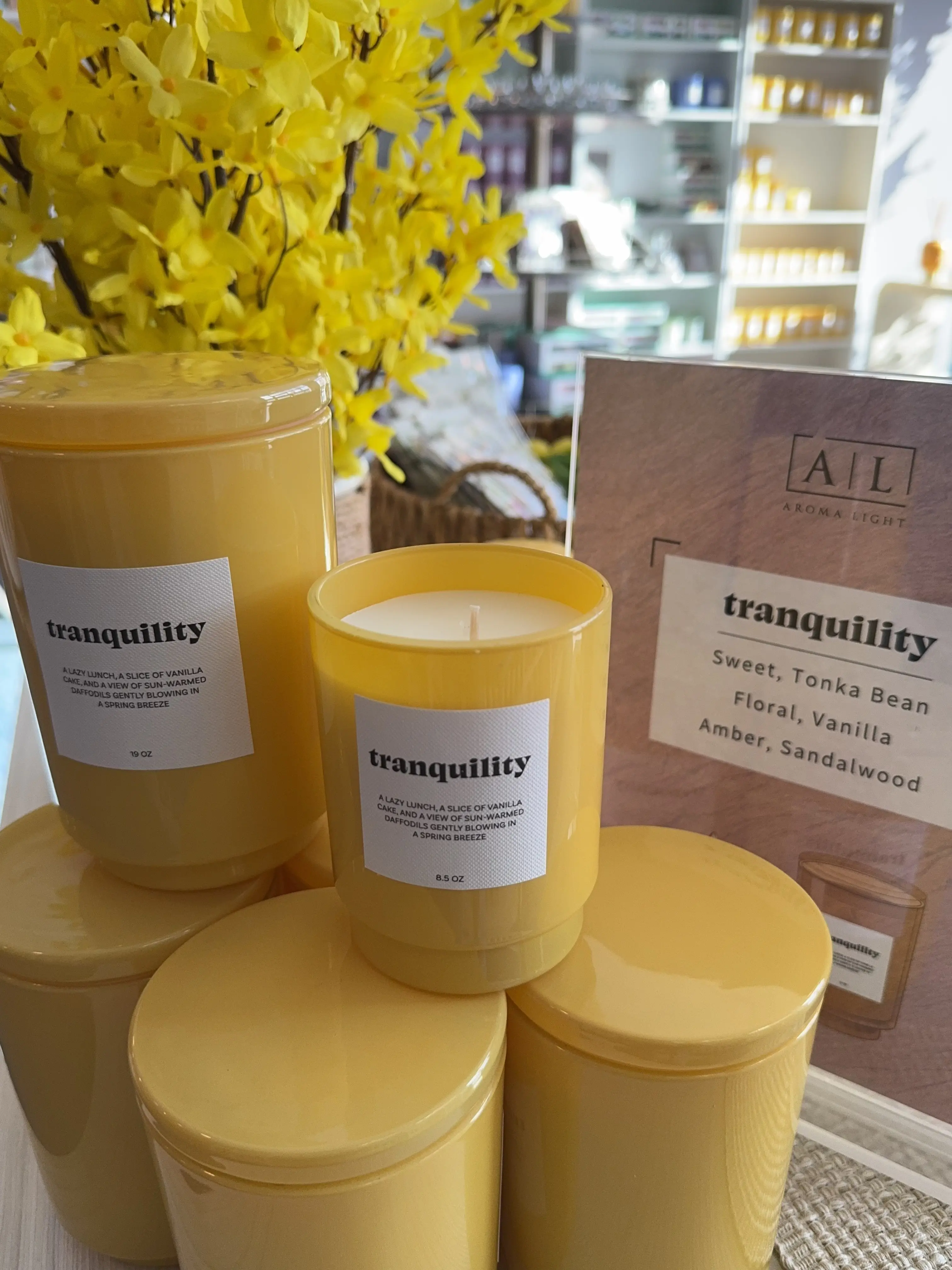 Tonka Bean & Amber Jar Candle 8.5oz