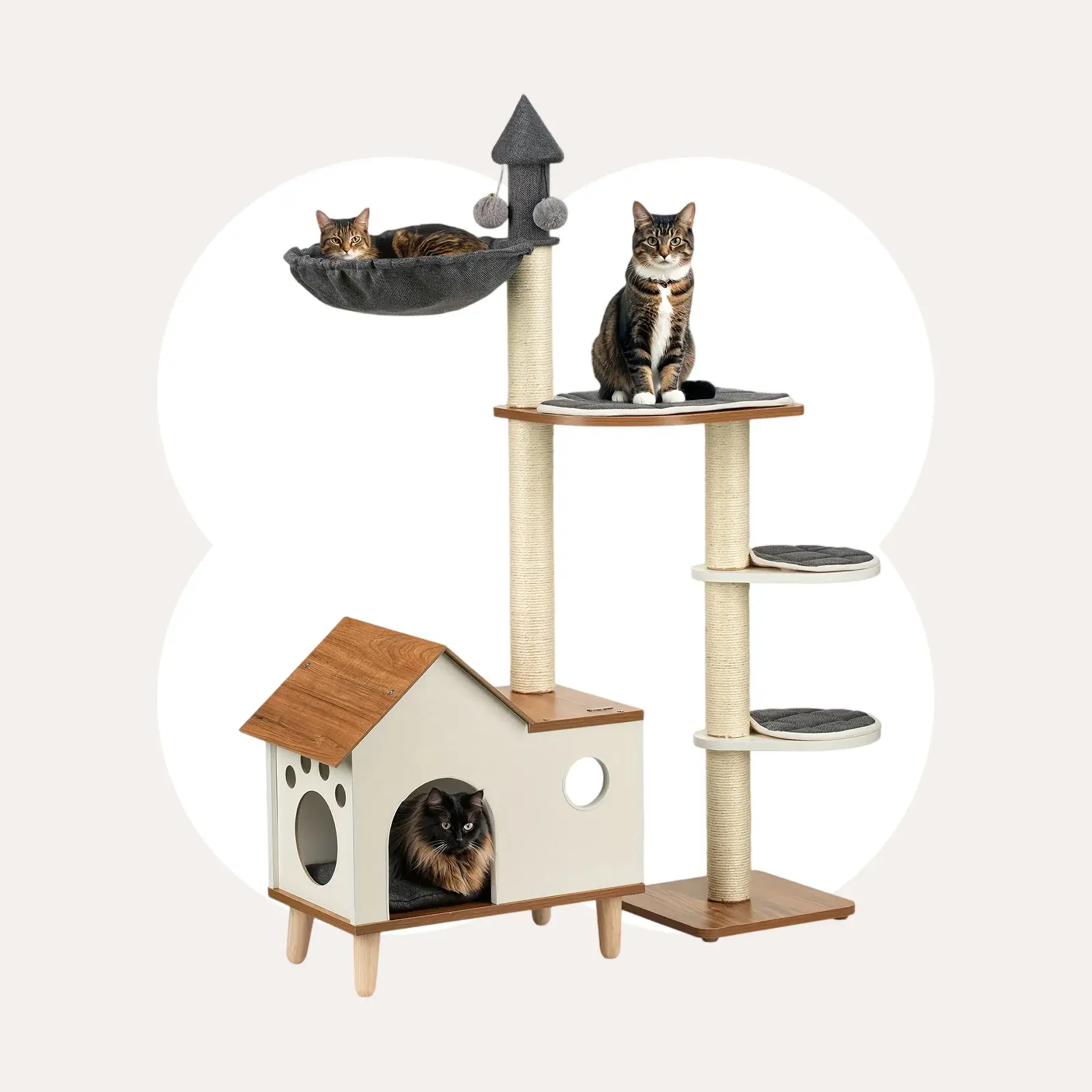 Happy & Polly Natural Wood Cat Tree Wooden House - Single Unit Pet Cat Furniture with Sisal, Soft Corners, Sturdy Perches, Safe Design, Cozy Home Decor, Climb & Lounge Space, Comfortable Rest Spot for Living Space Enhancement