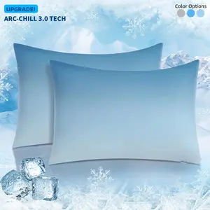Eegear Gradient Cooling Pillowcases 2Pack Arc-Chill3.0 Double Sided Cooling Pillow Protector Breathable Cold PillowCases for Hot Sleeper Silky Bedding