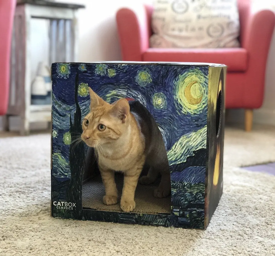 Furry Masterpieces Cardboard Cat House with Scratcher