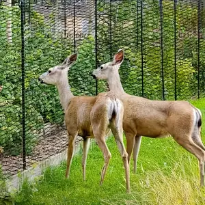 Two-Piece Multi-Functional Garden Netting, Deer Resistant Squirrel Proof Bird Deterrent, Outdoor Grid Barrier for Plants Fruits Vegetables