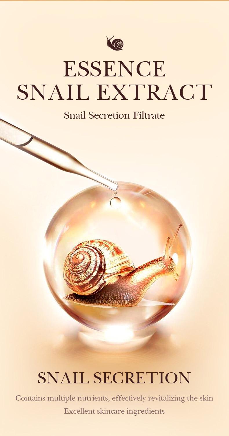 High-coverage waterproof snail BB cream - matte finish, long-lasting moisturizing and oil control, creates a natural makeup look, refreshing and non-greasy, perfect for makeup beginners, a great gift for Mother's Day