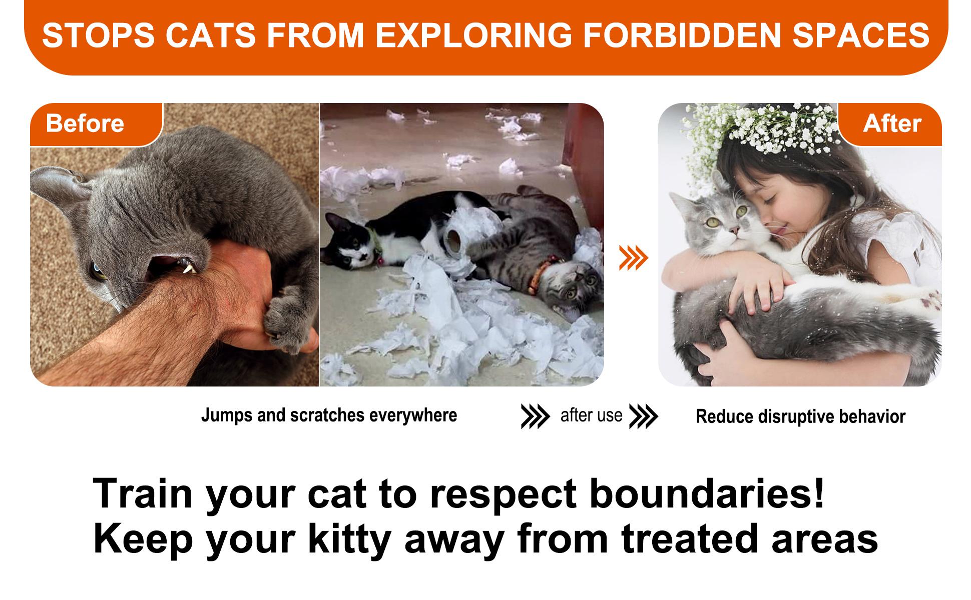 Cat Deterrent Spray for Indoor and Outdoor, Cat Scratch Deterrent for Furniture Protection, Anti Marking Deterrent for Sofas and Carpet, Natural Ingredients (100 ml*2)