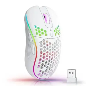 2.4G Wireless Gaming Mouse RGB Lighting Mouse  with Adjustable DPI Ergonomic Honeycomb Design for Desktop Laptop(Sheet)