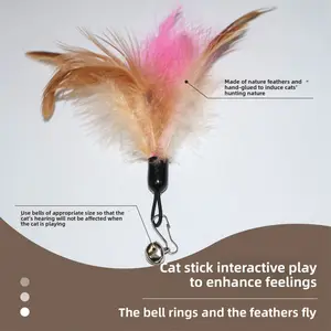 Interactive Cat Feather Toy, Durable Plastic Stick with Replaceable Feathers, Battery-Free Indoor Cat Entertainment Rod