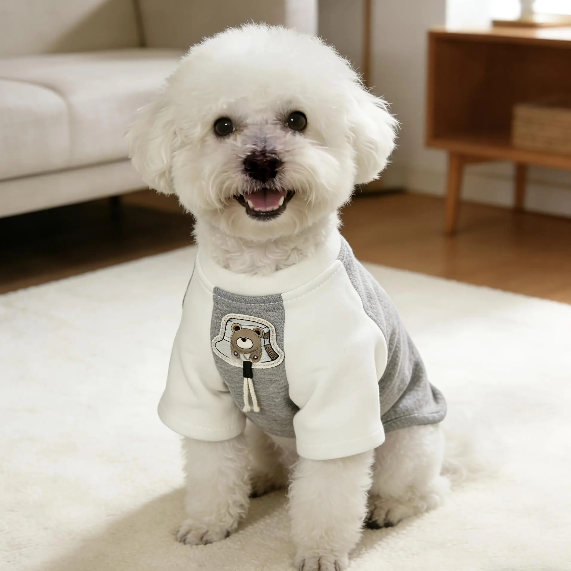 Dog Sweatshirt, New Pullover Color-Block -Lined Sweatshirt, Stretchy and Easy to Put On/Take Off, Suitable for Both Cats and Dogs, Color-Block Design, Stylish and Beautiful, Fits Small to Medium Dogs: Teddy, Pomeranian, Chihuahua, Corgi