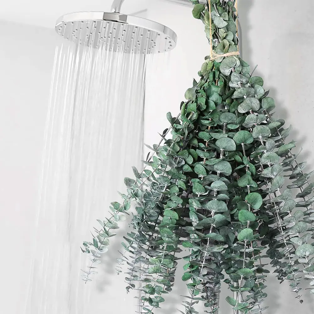 16+ PCS Dried Eucalyptus Stems for Shower - 17" Preserved Eucalyptus Stem Shower Plant, Fresh Real Eucalyptus Leaves for Shower Hanging, Home Decor, Dried Flowers ideal for shower hanging, spa gifts, bathroom and natural home decor