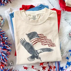 Comfort Colors USA 250th Anniversary Eagle Flag Shirt, Patriotic America Freedom Tee, Vintage Bald Eagle Graphic, USA Gift Tee