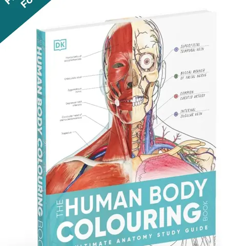Human Anatomy Coloring Book (2nd Edition) • Premium Anatomical Study Guide for Medical & Nursing Students campingessentials Superior Binding Advanced Anatomy