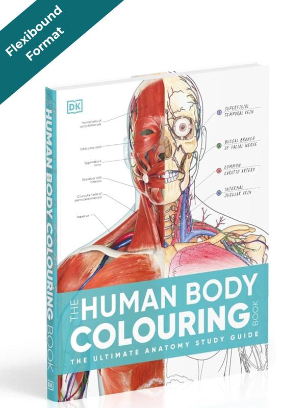 The Human Body Coloring Book 2nd Edition (DK) | 264 Pages | Anatomy ...