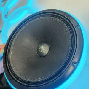 8 inchs  smart Speakers LED