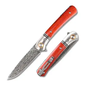SDOKEDC Damascus Pocket Knife with Clip Folding Knives for Men Outdoors Camping Survival Gear Edc Tools fishing Knifes (White steel head)