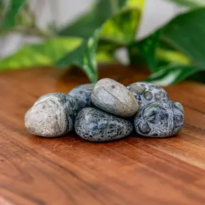 Down to Earth Kambaba Jasper Tumbled