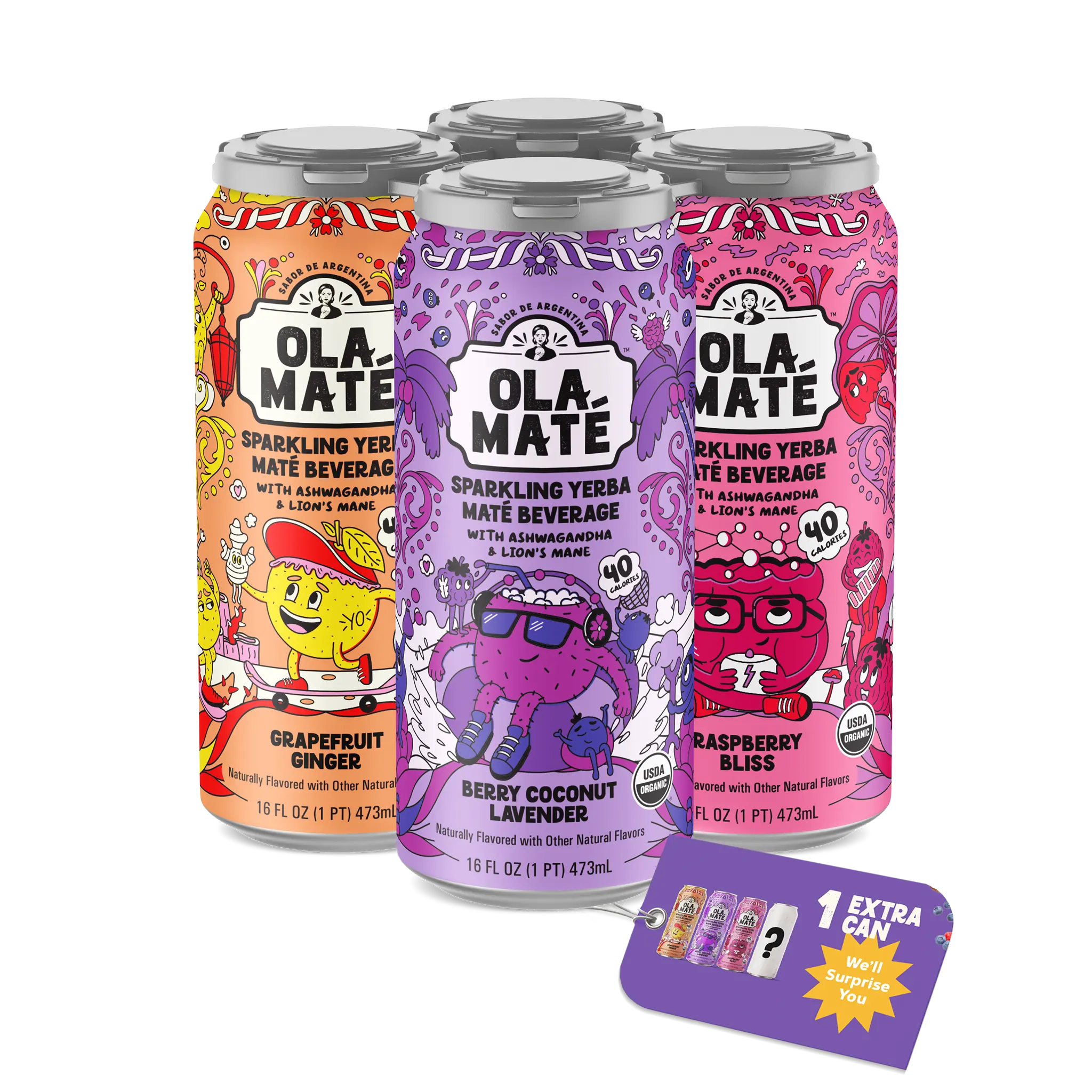 Ola Maté Starter 4-Pack Sparkling Maté Beverage Organic - 4 Flavors ...